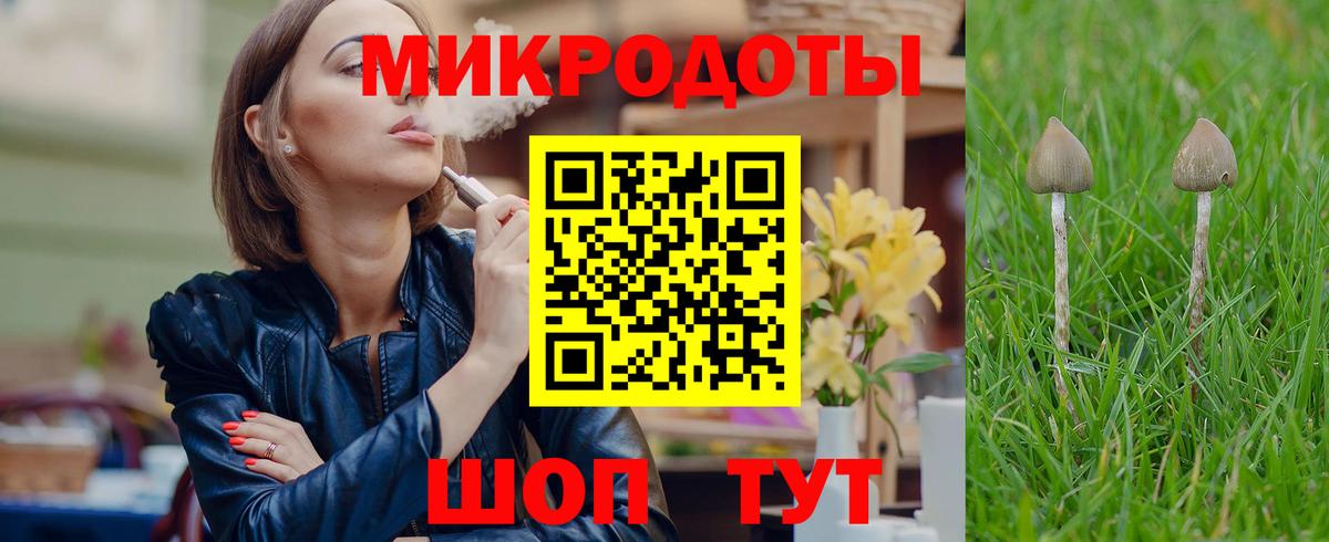 Псилоцибиновые грибы GOLDEN TEACHER  Вход с VPN  Воронеж 